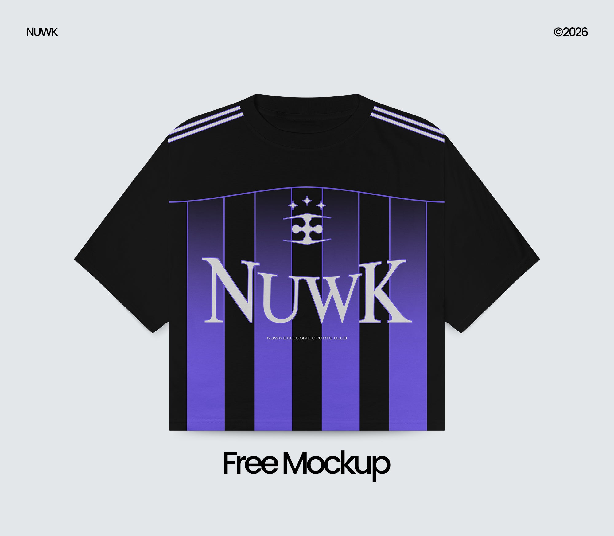 6 Boxy T-Shirt Mockups 2026 (1 FREE)